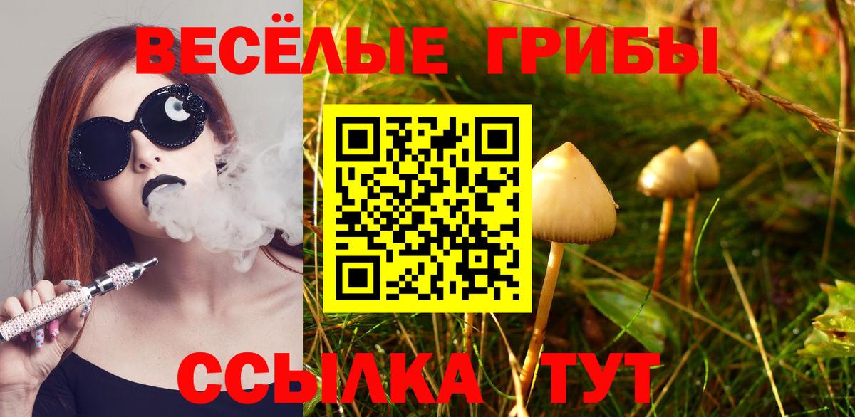 Псилоцибиновые грибы Psilocybe  Псилоцибиновые грибы Magic Shrooms  Троицк  Вход с VPN 